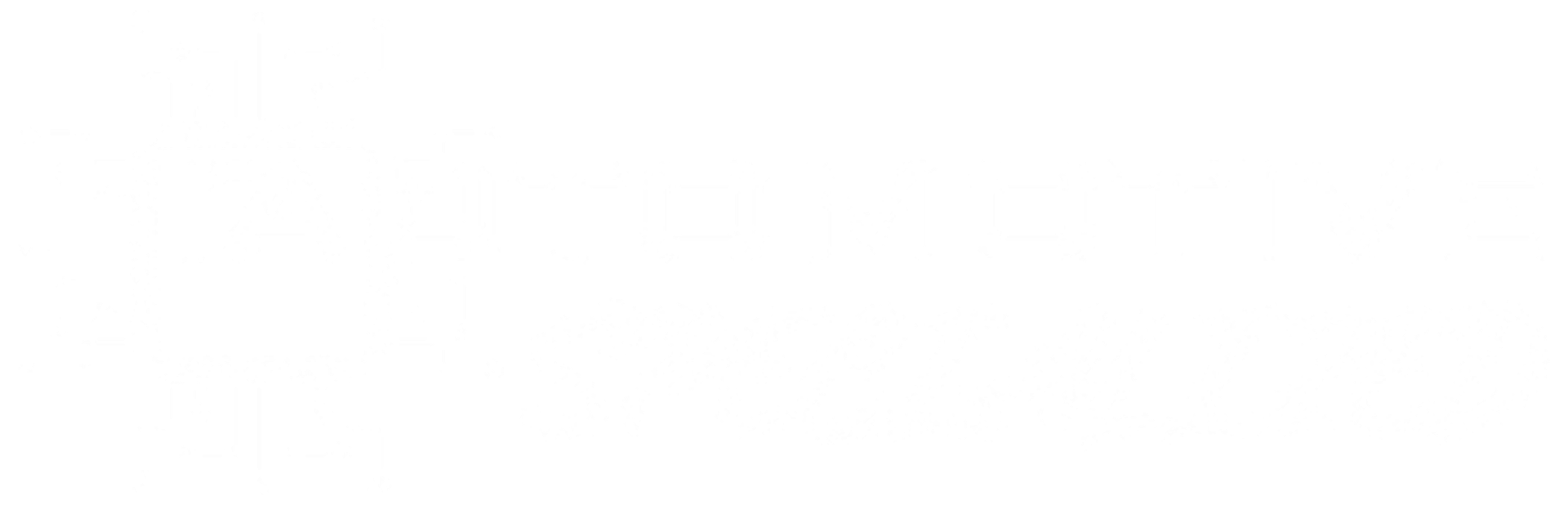 Auto Motive Specialized